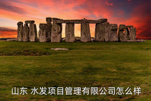 山東 水發項目管理有限公司怎么樣