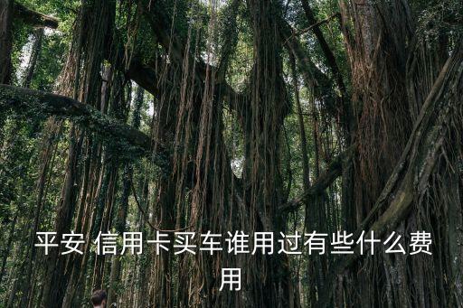 平安銀行信用卡購車分期手續費