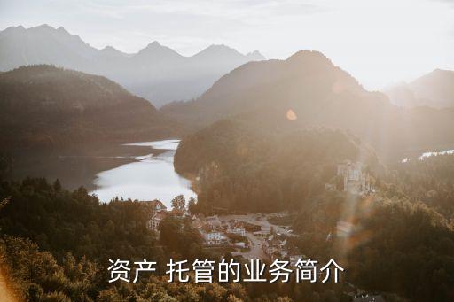 資產 托管的業務簡介