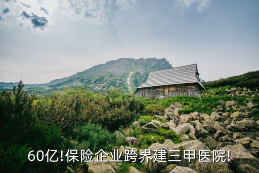 梅奧醫療集團