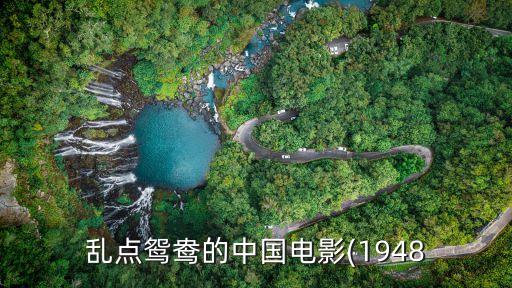 國泰影業公司