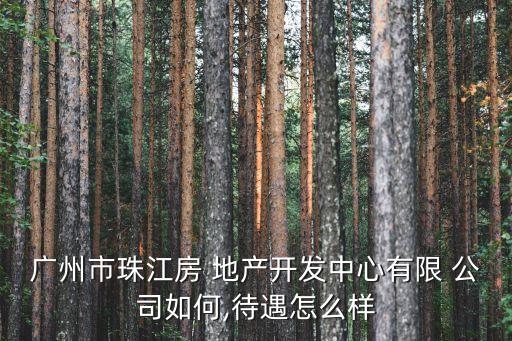 廣州市珠江房 地產開發中心有限 公司如何,待遇怎么樣