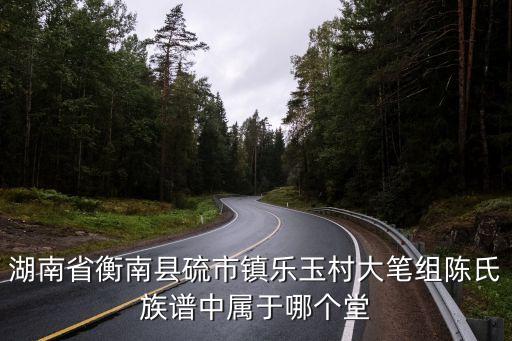 湖南省衡南縣硫市鎮樂玉村大筆組陳氏族譜中屬于哪個堂