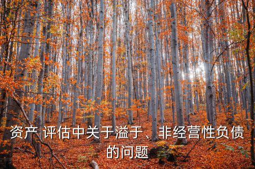 資產(chǎn) 評(píng)估中關(guān)于溢于、非經(jīng)營(yíng)性負(fù)債的問題