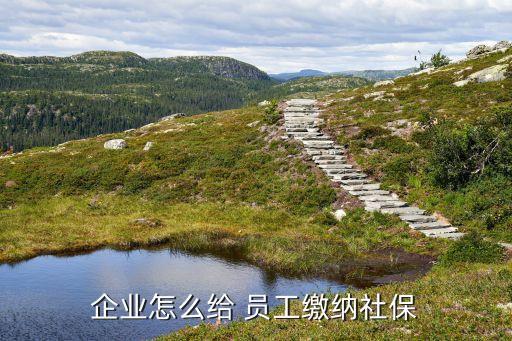 企業怎么給 員工繳納社保