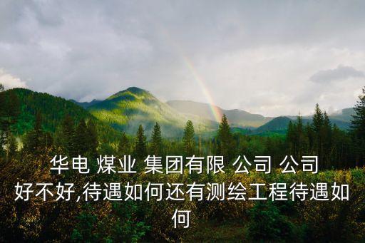  華電 煤業 集團有限 公司 公司好不好,待遇如何還有測繪工程待遇如何