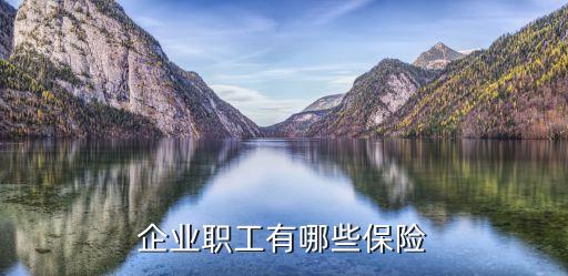 企業職工有哪些保險