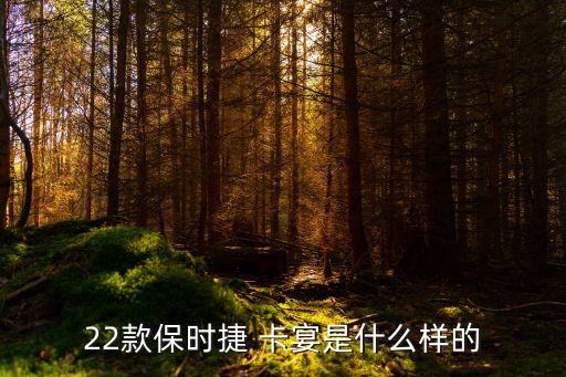 上海自貿區平行進口汽車卡宴,廣州南沙自貿區平行進口汽車