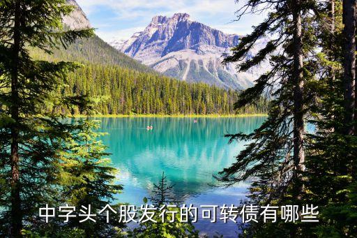 中字頭個股發行的可轉債有哪些