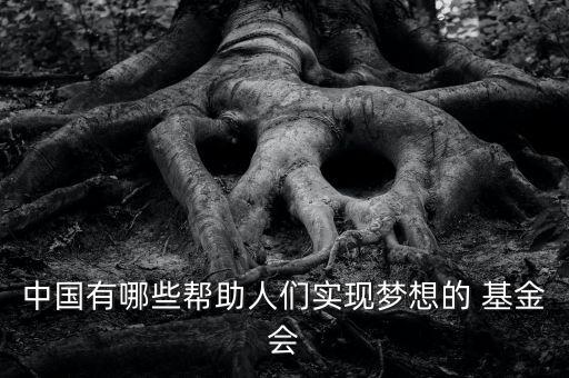 2013年基金會數量,全國基金會數量