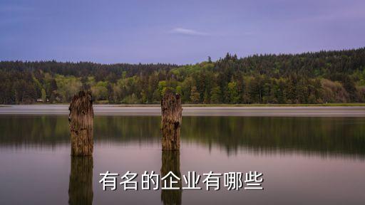 有名的企業有哪些
