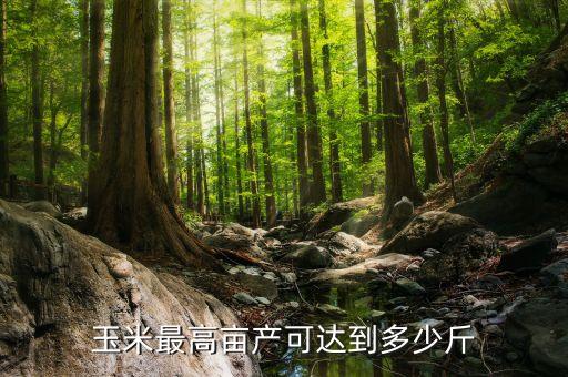 農業部下屬上市公司王平,王平持股的上市公司