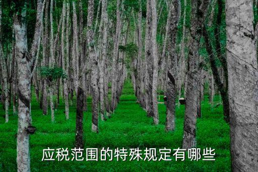 應稅范圍的特殊規定有哪些