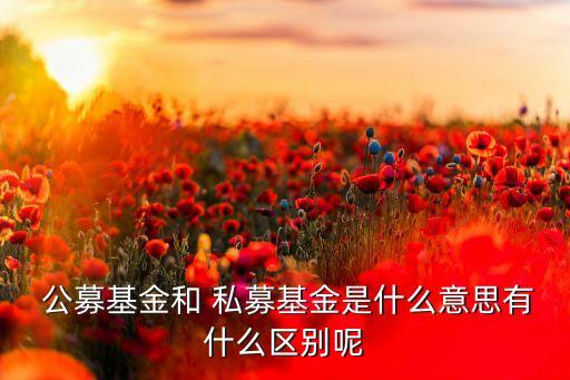  公募基金和 私募基金是什么意思有什么區別呢
