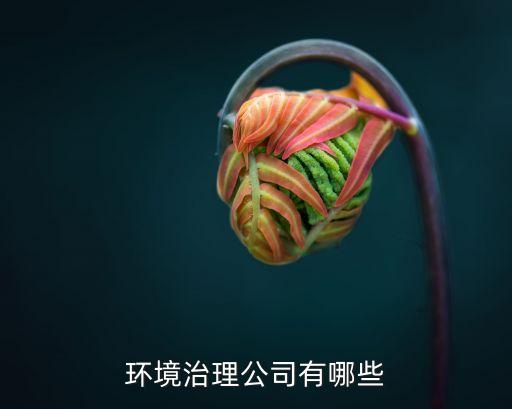環境治理公司有哪些
