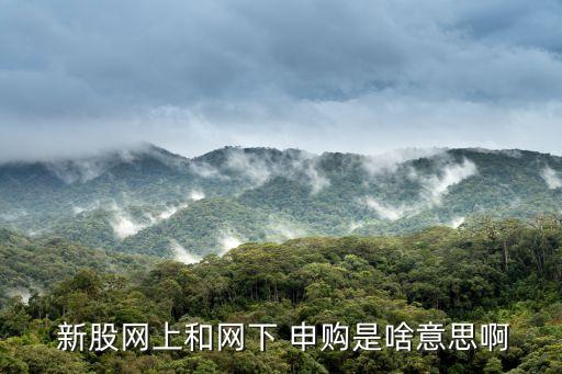  新股網上和網下 申購是啥意思啊