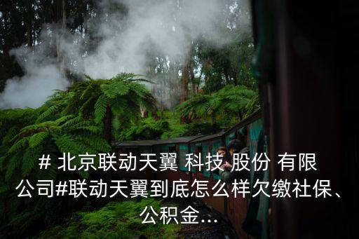 # 北京聯動天翼 科技 股份 有限公司#聯動天翼到底怎么樣欠繳社保、公積金...
