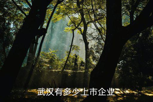 武漢有多少上市企業
