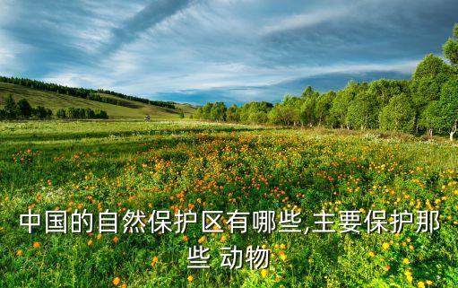 中國的自然保護區有哪些,主要保護那些 動物