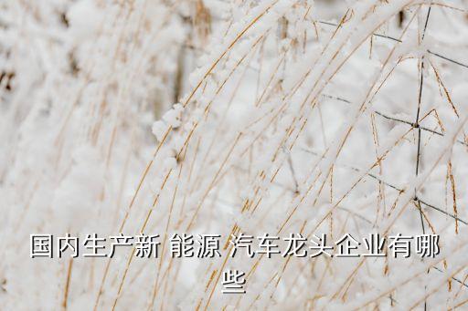 國內生產新 能源 汽車龍頭企業有哪些