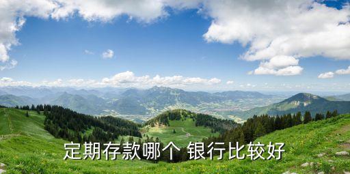 民營銀行和國有商業銀行對比分析