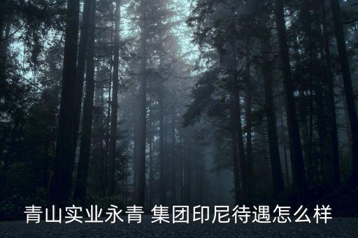 青山實業永青 集團印尼待遇怎么樣