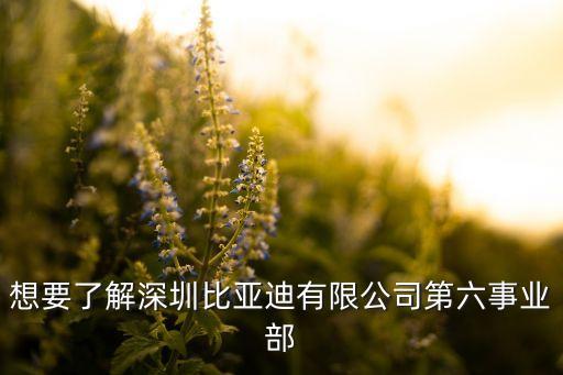 陜西海外投資發展股份公司