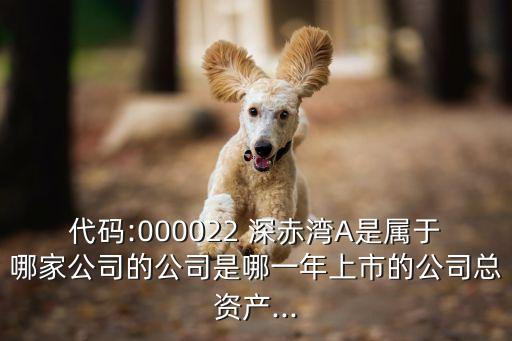 代碼:000022 深赤灣A是屬于哪家公司的公司是哪一年上市的公司總資產...
