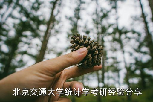  北京交通大學統計學考研經驗分享