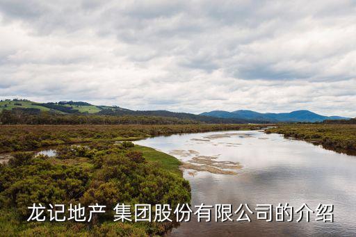  龍記地產 集團股份有限公司的介紹