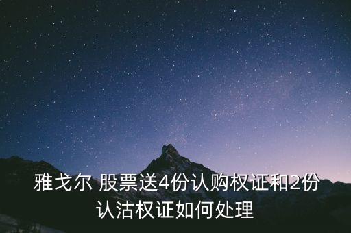  雅戈爾 股票送4份認購權證和2份認沽權證如何處理