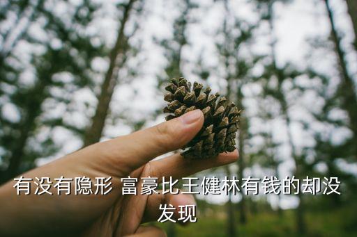 有沒有隱形 富豪比王健林有錢的卻沒發現