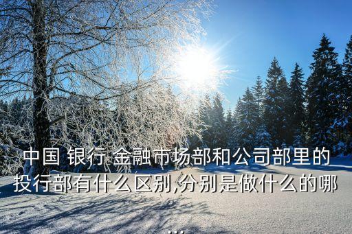 中國 銀行 金融市場部和公司部里的投行部有什么區別,分別是做什么的哪...