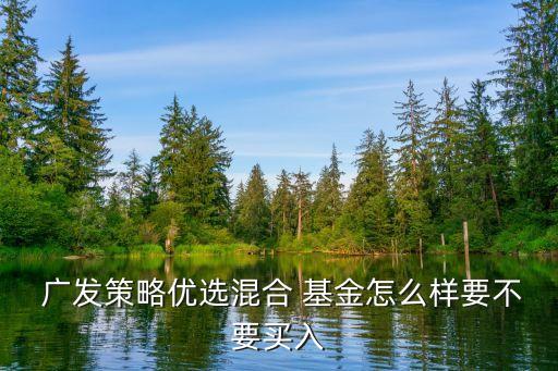 廣發策略優選混合 基金怎么樣要不要買入