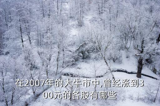 在2007年的大牛市中,曾經漲到300元的各股有哪些