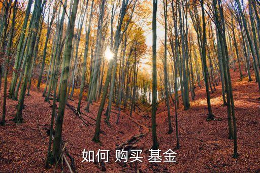 到哪里購買基金,哪里購買基金是免手續費的呢