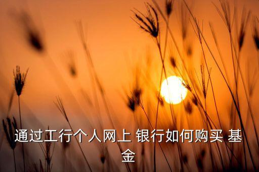 通過工行個人網上 銀行如何購買 基金