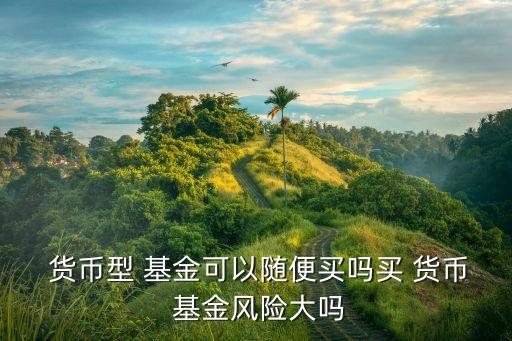 買貨幣基金如何,現在買貨幣基金安全嗎