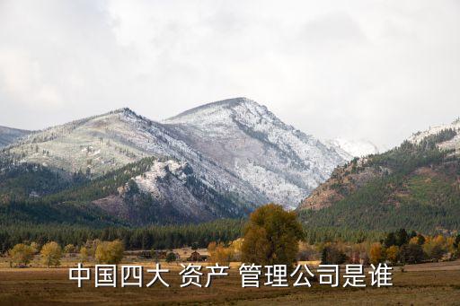 中國四大 資產 管理公司是誰