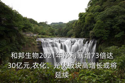 和邦生物2021年凈利暴增73倍達30億元,農化、光伏板塊高增長或將延續