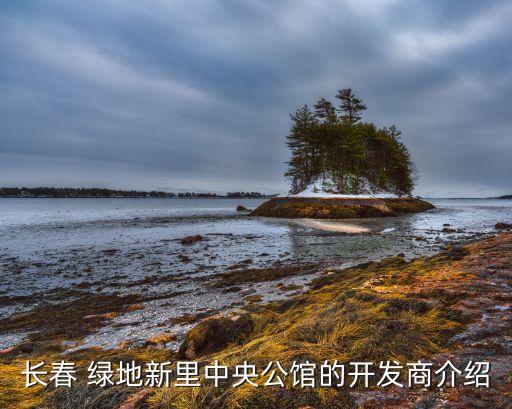 長春 綠地新里中央公館的開發商介紹
