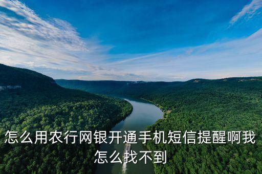 怎么用農行網銀開通手機短信提醒啊我怎么找不到