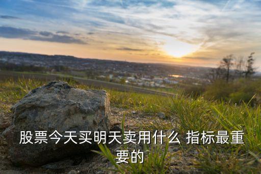 股票今天買(mǎi)明天賣(mài)用什么 指標(biāo)最重要的