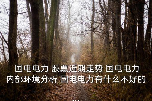  國電電力 股票近期走勢 國電電力內部環境分析 國電電力有什么不好的...