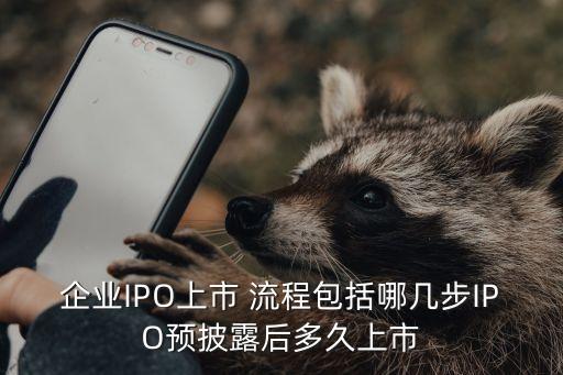 企業IPO上市 流程包括哪幾步IPO預披露后多久上市