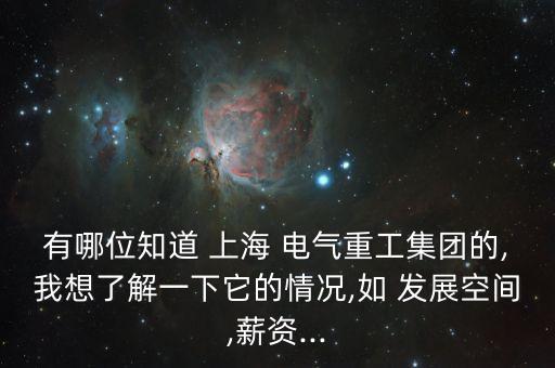 有哪位知道 上海 電氣重工集團的,我想了解一下它的情況,如 發展空間,薪資...