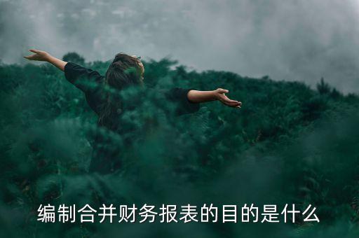 集團內部往來報告,其他應收款集團內部往來