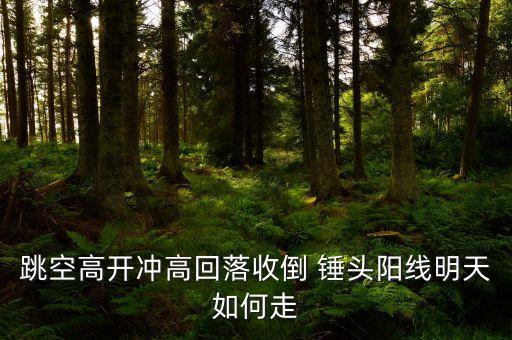 股票倒轉錘頭,倒轉錘頭代表什么意思