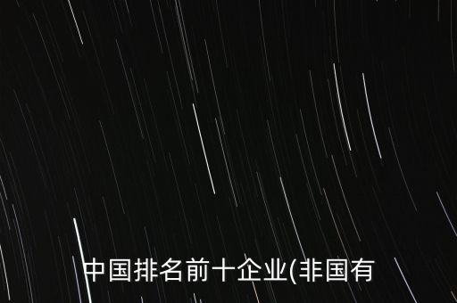 中國排名前十企業(非國有