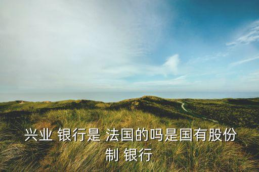  興業 銀行是 法國的嗎是國有股份制 銀行